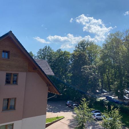Holiday Hill Apartamenty Pogodny カルパッチ エクステリア 写真